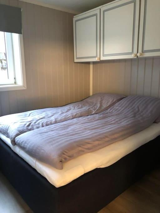 Koselig Leilighet I Tromso Luaran gambar